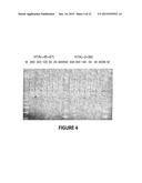 ANTISENSE OLIGONUCLEOTIDES FOR INDUCING EXON SKIPPING AND METHODS OF USE     THEREOF diagram and image