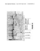 ANTISENSE OLIGONUCLEOTIDES FOR INDUCING EXON SKIPPING AND METHODS OF USE     THEREOF diagram and image