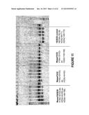 ANTISENSE OLIGONUCLEOTIDES FOR INDUCING EXON SKIPPING AND METHODS OF USE     THEREOF diagram and image