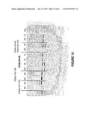 ANTISENSE OLIGONUCLEOTIDES FOR INDUCING EXON SKIPPING AND METHODS OF USE     THEREOF diagram and image