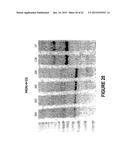 ANTISENSE OLIGONUCLEOTIDES FOR INDUCING EXON SKIPPING AND METHODS OF USE     THEREOF diagram and image