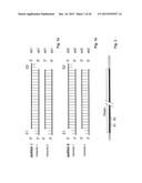 Compositions and Methods for Inhibiting Expression of a Target Gene diagram and image