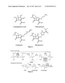 Growth Arrested Cells Useful for Producing Compounds diagram and image