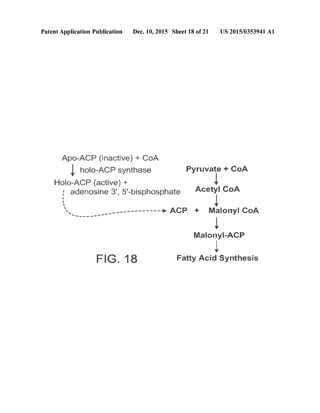 Genetically Modified Biological Cells - diagram, schematic, and image 19