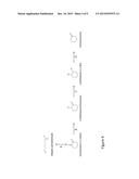 MICROORGANISMS AND METHODS FOR THE PRODUCTION OF CAPROLACTONE diagram and image