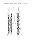 Reusable Long Period Microfiber Grating for detection of DNA Hybridization diagram and image