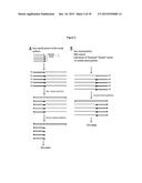 METHOD OF ANALYSIS OF COMPOSITION OF NUCLEIC ACID MIXTURES diagram and image