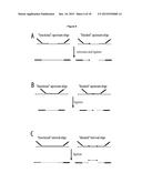 METHOD OF ANALYSIS OF COMPOSITION OF NUCLEIC ACID MIXTURES diagram and image