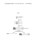 METHOD OF ANALYSIS OF COMPOSITION OF NUCLEIC ACID MIXTURES diagram and image