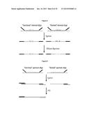 METHOD OF ANALYSIS OF COMPOSITION OF NUCLEIC ACID MIXTURES diagram and image