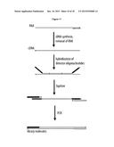 METHOD OF ANALYSIS OF COMPOSITION OF NUCLEIC ACID MIXTURES diagram and image