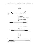 METHOD OF ANALYSIS OF COMPOSITION OF NUCLEIC ACID MIXTURES diagram and image