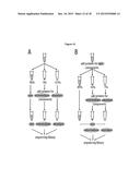 METHOD OF ANALYSIS OF COMPOSITION OF NUCLEIC ACID MIXTURES diagram and image