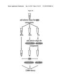 METHOD OF ANALYSIS OF COMPOSITION OF NUCLEIC ACID MIXTURES diagram and image