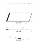 ROOFING MEMBRANES HAVING MULTIPLE ADHESIVE REGIONS AND METHOD THEREFOR diagram and image