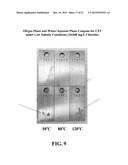 NON-ALKYL PYRIDINE SOUR CORROSION INHIBITORS AND METHODS FOR MAKING AND     USING SAME diagram and image