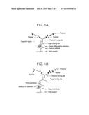 MIXED PAYLOAD CONTAINING POLYMERS AND USE THEREOF diagram and image