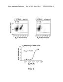 Method for Selecting Agents that Bind to Transmembrane Receptors in a     Conformationally-Selective Manner diagram and image