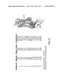 Method for Selecting Agents that Bind to Transmembrane Receptors in a     Conformationally-Selective Manner diagram and image