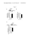 MARKER FOR DEPRESSION, ASSAY METHOD, METHOD FOR DETERMINING DEPRESSION,     SCREENING METHOD FOR ANTIDEPRESSANTS, AND KIT diagram and image