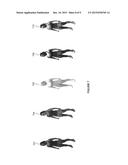 Relightable texture for use in rendering an image diagram and image