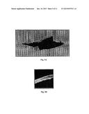 TRANSPARENT CONDUCTIVE COATINGS FOR OPTOELECTRONIC AND ELECTRONIC DEVICES diagram and image