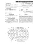 APPARATUS AND METHOD FOR BONE AUGMENTATION diagram and image