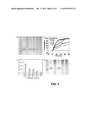 ENZYME RESPONSIVE NANOCAPSULES FOR PROTEIN DELIVERY diagram and image