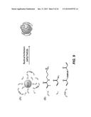 ENZYME RESPONSIVE NANOCAPSULES FOR PROTEIN DELIVERY diagram and image