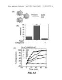 ENZYME RESPONSIVE NANOCAPSULES FOR PROTEIN DELIVERY diagram and image