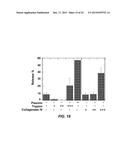 ENZYME RESPONSIVE NANOCAPSULES FOR PROTEIN DELIVERY diagram and image