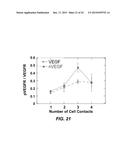 ENZYME RESPONSIVE NANOCAPSULES FOR PROTEIN DELIVERY diagram and image