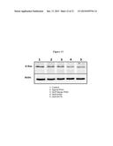 METHODS AND DEVICES FOR USING ISOPERILLYL ALCOHOL diagram and image