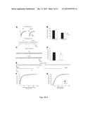 COMPOSITIONS AND METHODS FOR THE TREATMENT OF PERVASIVE DEVELOPMENT     DISORDERS diagram and image