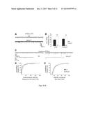 COMPOSITIONS AND METHODS FOR THE TREATMENT OF PERVASIVE DEVELOPMENT     DISORDERS diagram and image