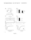 COMPOSITIONS AND METHODS FOR THE TREATMENT OF PERVASIVE DEVELOPMENT     DISORDERS diagram and image