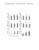 COMPOSITIONS AND METHODS FOR THE TREATMENT OF PERVASIVE DEVELOPMENT     DISORDERS diagram and image