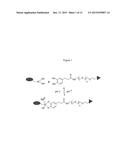 pH-Sensitive Polymer-Drug Conjugates for Targeted Delivery of Therapeutics diagram and image