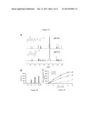 pH-Sensitive Polymer-Drug Conjugates for Targeted Delivery of Therapeutics diagram and image