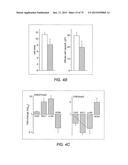 TRANSCRIPTION FACTOR-BASED GENERATION OF PACEMAKER CELLS AND METHODS OF     USING SAME diagram and image