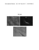 TRANSCRIPTION FACTOR-BASED GENERATION OF PACEMAKER CELLS AND METHODS OF     USING SAME diagram and image