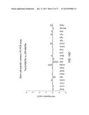 TRANSCRIPTION FACTOR-BASED GENERATION OF PACEMAKER CELLS AND METHODS OF     USING SAME diagram and image