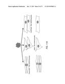 TRANSCRIPTION FACTOR-BASED GENERATION OF PACEMAKER CELLS AND METHODS OF     USING SAME diagram and image