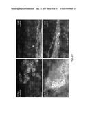 TRANSCRIPTION FACTOR-BASED GENERATION OF PACEMAKER CELLS AND METHODS OF     USING SAME diagram and image