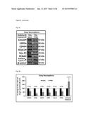 METHODS OF USING THROMBIN DERIVATIVES TO TREAT MEDULLOBLASTOMA diagram and image