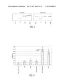 METHODS AND COMPOSITIONS FOR PREVENTING A CONDITION diagram and image