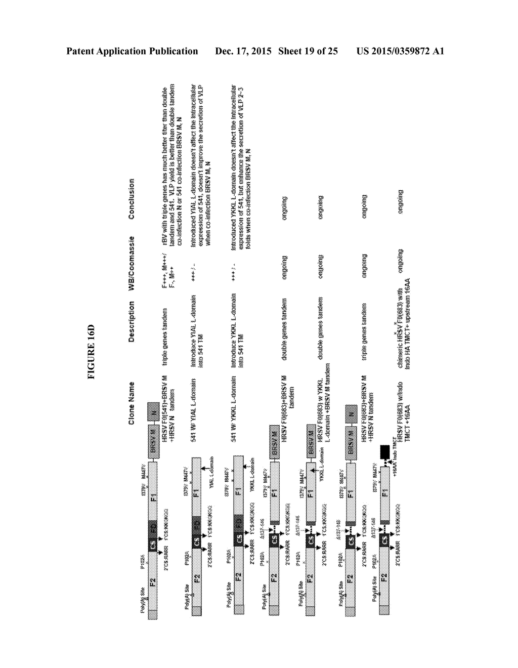 MODIFIED RSV F PROTEINS AND METHODS OF THEIR USE - diagram, schematic, and image 20