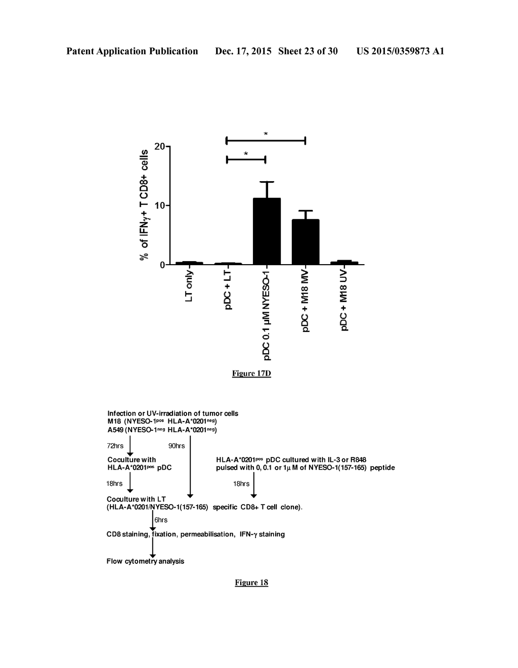 USE OF A GENETICALLY MODIFIED INFECTIOUS MEASLES VIRUS WITH ENHANCED     PRO-APOPTOTIC PROPERTIES (MV-DELTAC VIRUS) IN CANCER THERAPY - diagram, schematic, and image 24