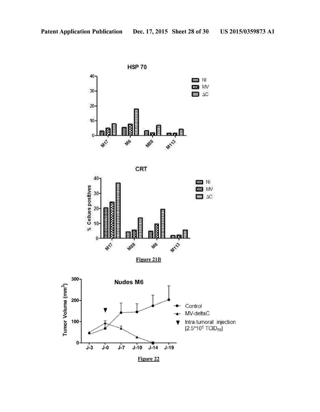 USE OF A GENETICALLY MODIFIED INFECTIOUS MEASLES VIRUS WITH ENHANCED     PRO-APOPTOTIC PROPERTIES (MV-DELTAC VIRUS) IN CANCER THERAPY - diagram, schematic, and image 29