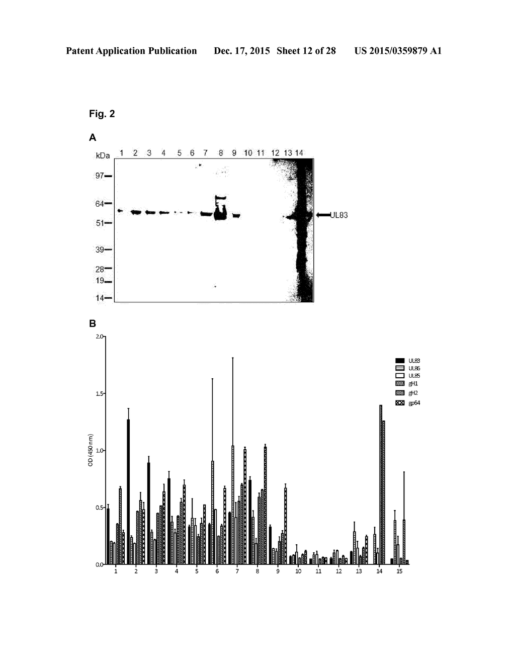 RECOMBINANT PARTICLE BASED VACCINES AGAINST HUMAN CYTOMEGALOVIRUS     INFECTION - diagram, schematic, and image 13